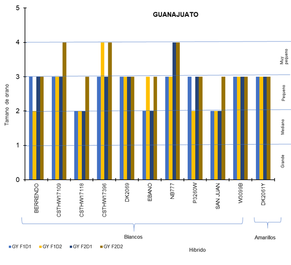 Tamaño grano Gto
